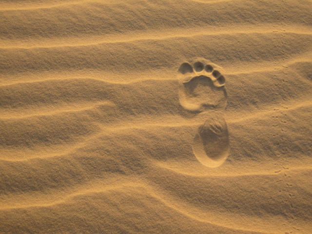 Ville jumelle - Tombouctou, Mali - Empreintes dans le sable