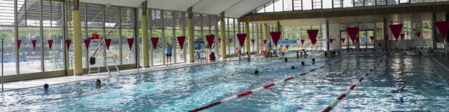 Piscine Aquarelle Intérieur Nage