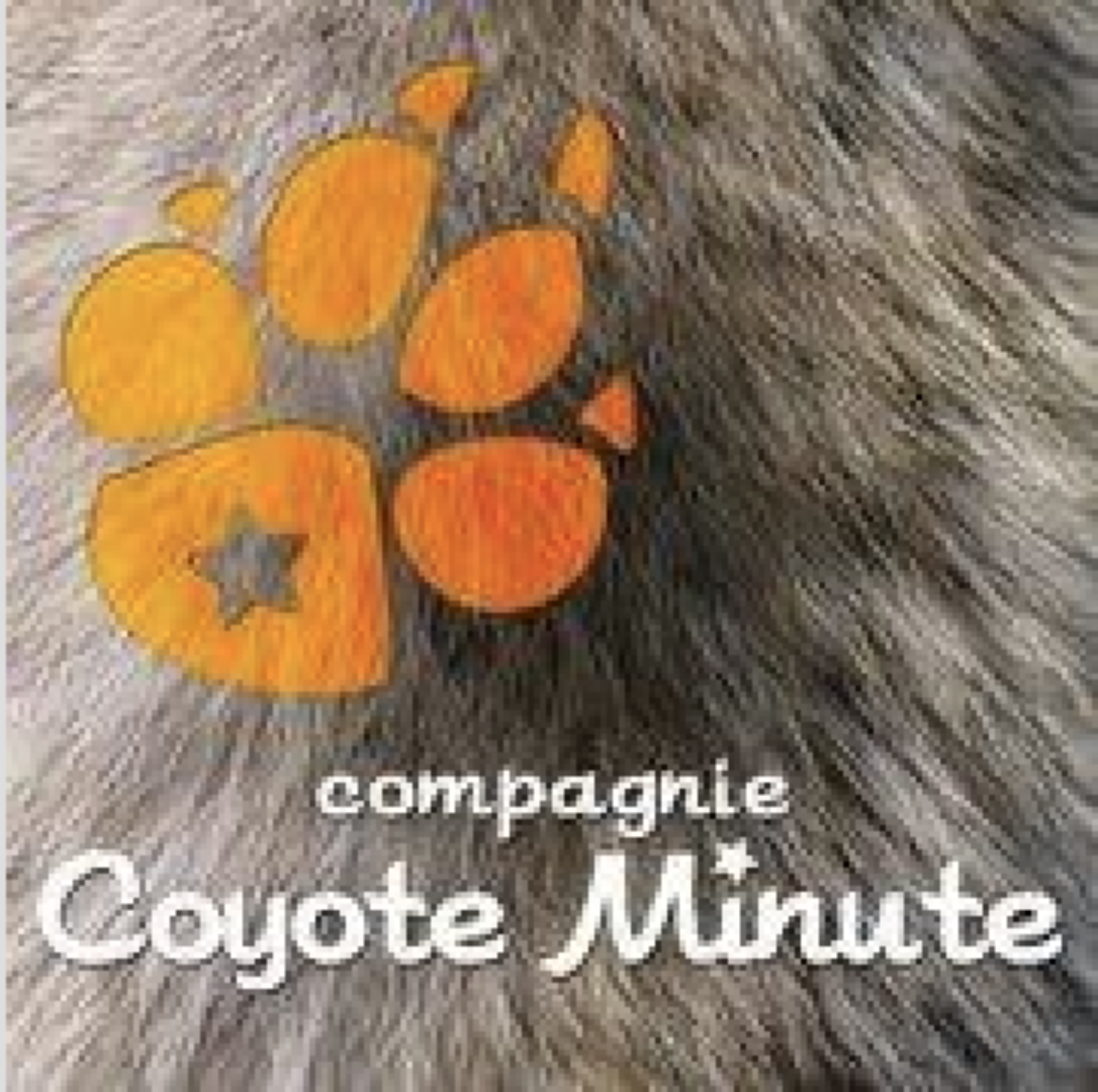 Compagnie Coyote Minute