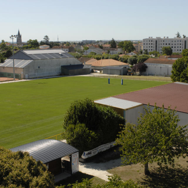 Terrain de rugby