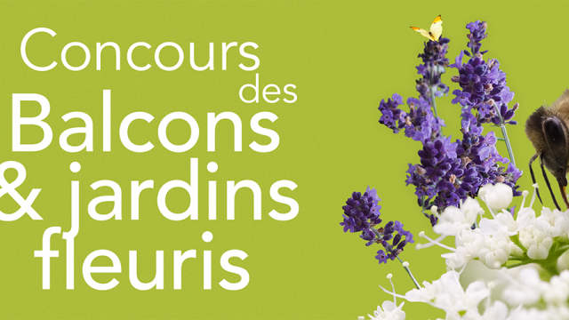 Bandeau Site Concours Balcons Fleuri